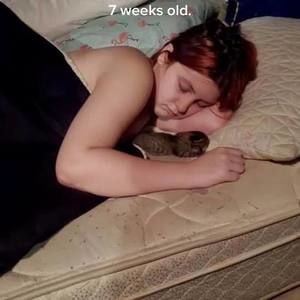 Meet your Posher, Ali